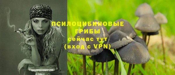 таблы Богородицк
