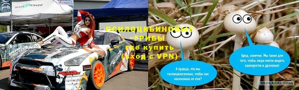 таблы Богородицк